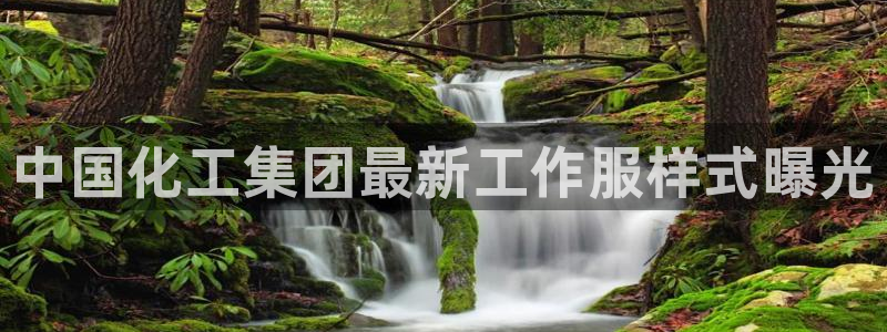 球盟会黑平台