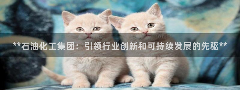 球盟会黑款吗是真的吗：**石油化工集团：引领行业创新和可持续