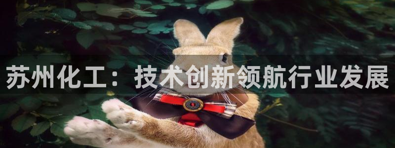 千亿球盟会乐玩