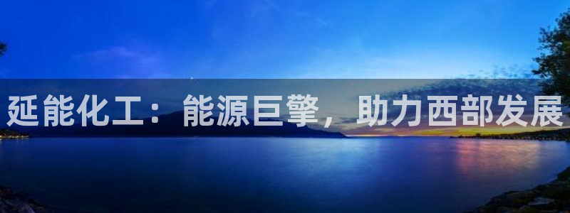 球盟会下款快吗：延能化工：能源巨擎，助力西部发展