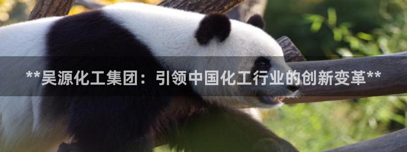 球盟会有没有黑单的球员：**吴源化工集团：引领中国化工行业的
