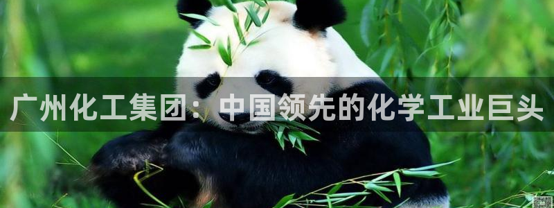 球盟会app最新地址在哪看：广州化工集团：中国领先的化学工业