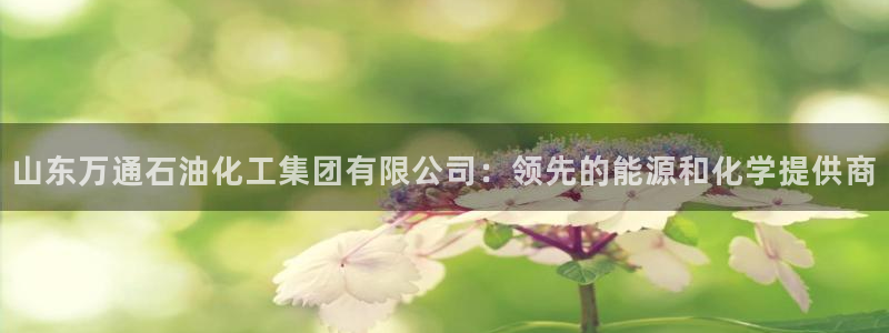 球盟会黑台子：山东万通石油化工集团有限公司：领先的能源和化学
