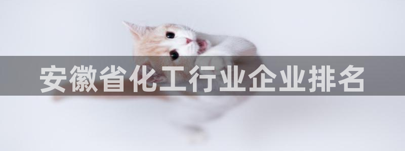 球盟会在线网站