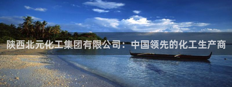 球盟会登录入口：陕西北元化工集团有限公司：中国领先的化工生产
