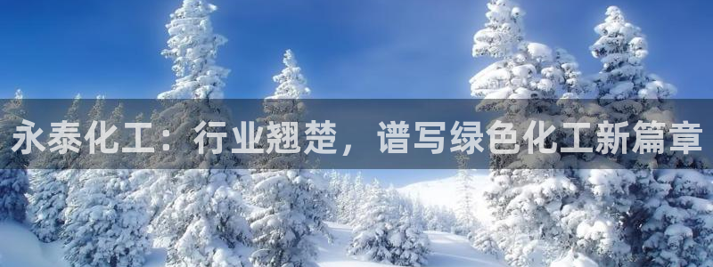球盟会黑