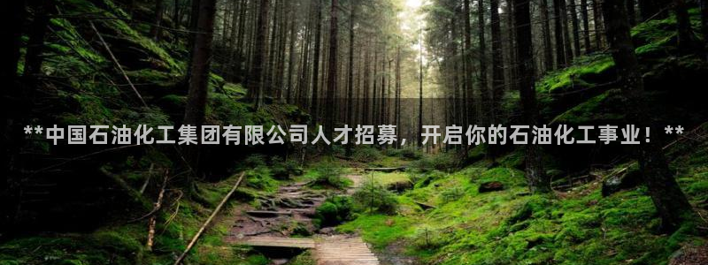 球盟会官方版下载地址
