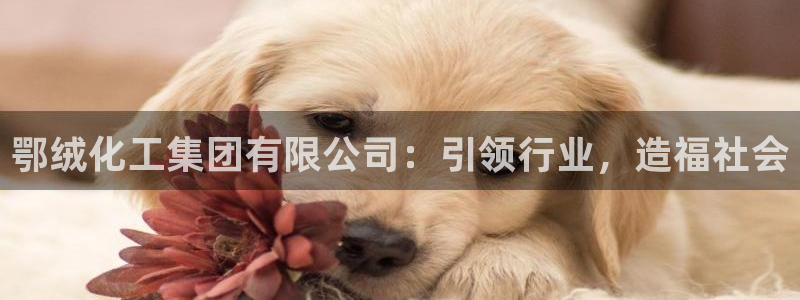 球盟会app