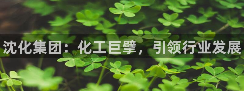 球盟会地址：沈化集团：化工巨擘，引领行业发展