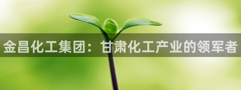 球盟会黑台子吗