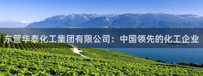球盟会官方登录平台入口：东营华泰化工集团有限公司：中国领先的
