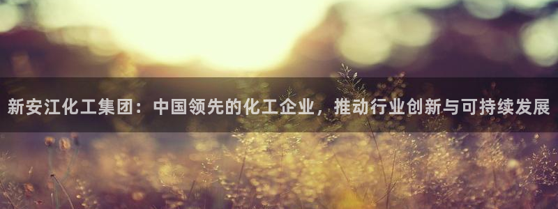 球盟会qmh电子网页版登录：新安江化工集团：中国领先的化工企