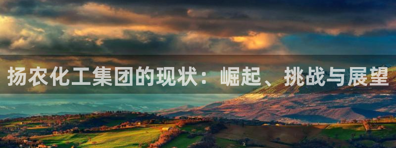 球盟会黑款吗知乎文章