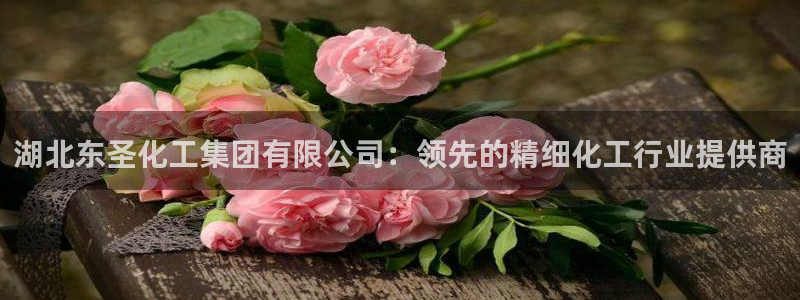 球盟会app：湖北东圣化工集团有限公司：领先的精细化工行业提