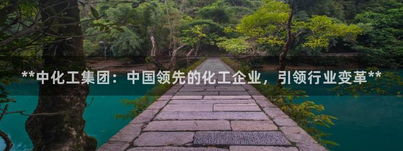 球盟会在线登入：**中化工集团：中国领先的化工企业，引领行业