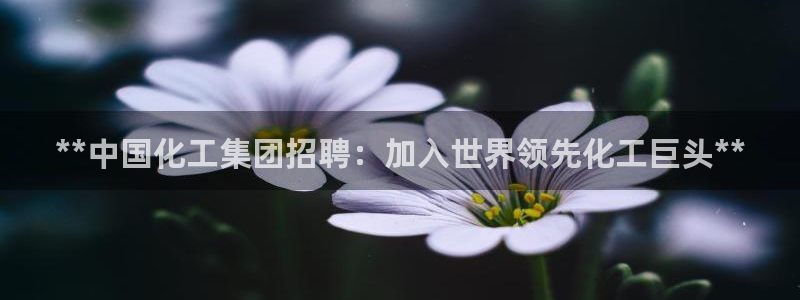 球盟会头号玩家是谁：**中国化工集团招聘：加入世界领先化工巨