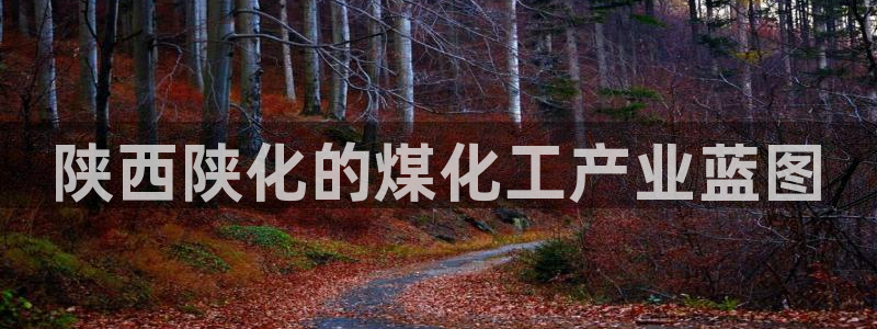 球盟会国际官网