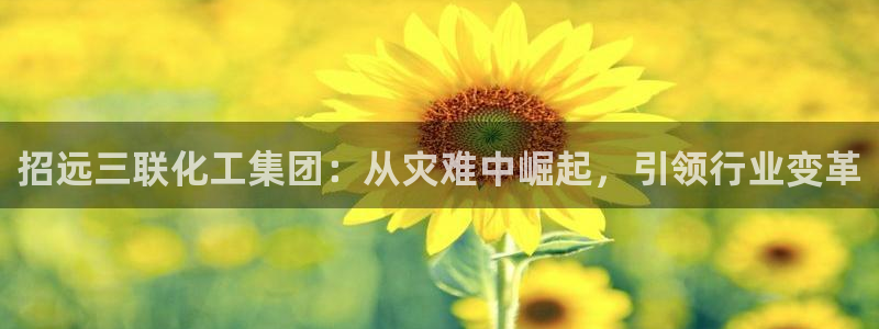 球盟会登陆中心