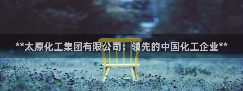 球盟会最新：**太原化工集团有限公司：领先的中国化工企业**