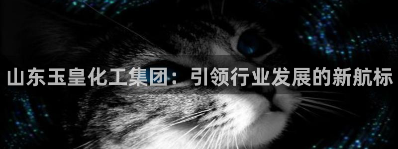 球盟会黑款吗知乎文章