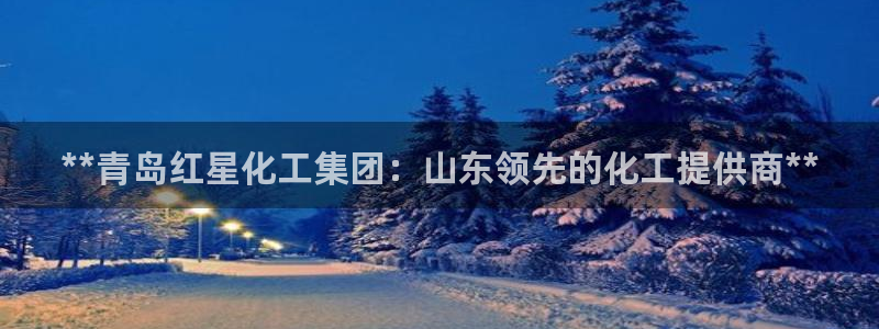 球盟会网址多少：**青岛红星化工集团：山东领先的化工提供商*