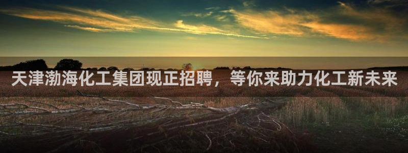 球盟会黑款吗