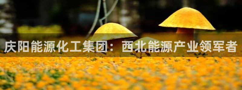 球盟会官网app下载：庆阳能源化工集团：西北能源产业领军者