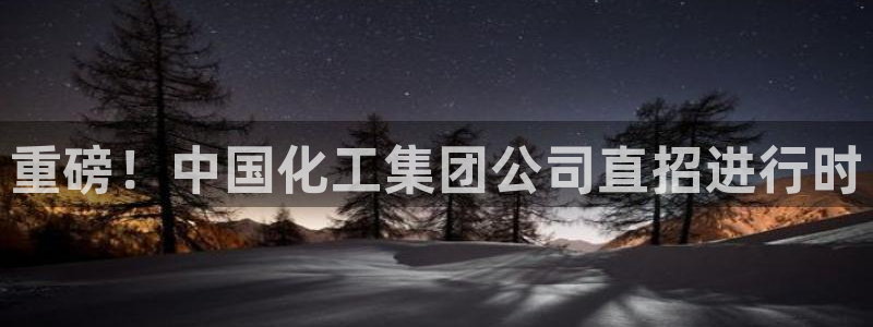 球盟会封号