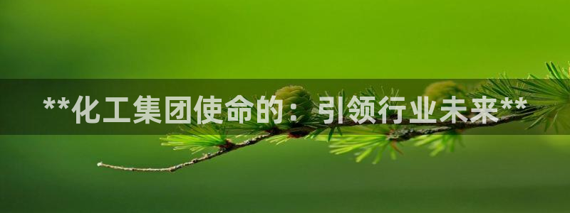 球盟会网页登录app下载地址