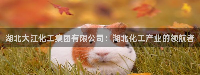 球盟会app：湖北大江化工集团有限公司：湖北化工产业的领航者