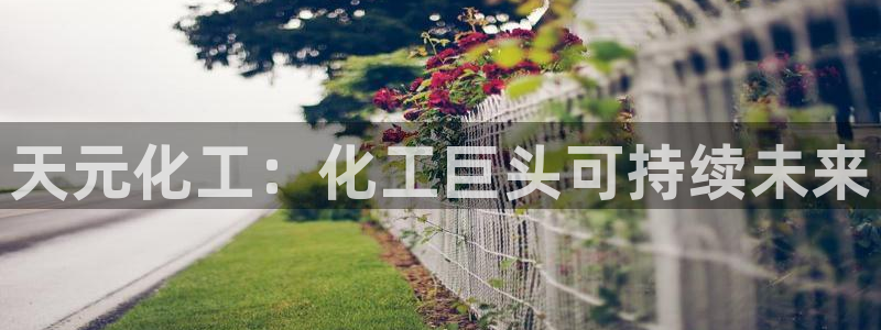 球盟会可以提现么