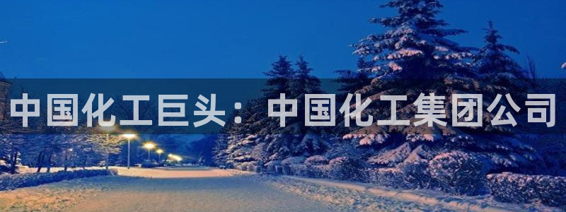 球盟会可以提现么