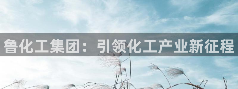 球盟会地址