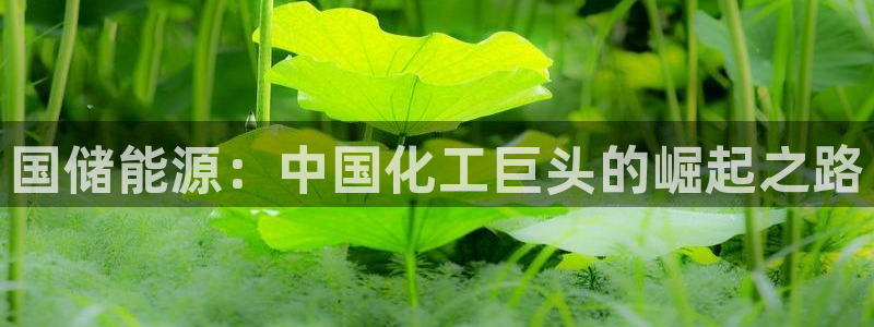 球盟会头号玩家
