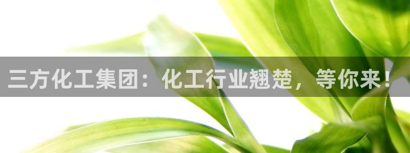 球盟会和中欧