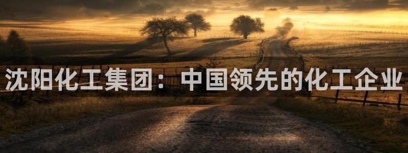 球盟会app最新地址在哪找：沈阳化工集团：中国领先的化工企业