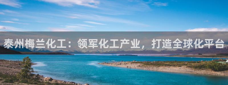 球盟会App