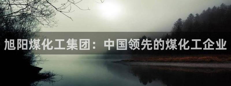 球盟会地址：旭阳煤化工集团：中国领先的煤化工企业