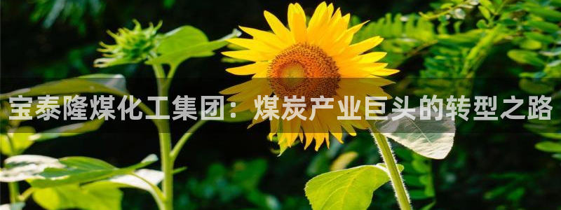 球盟会乐虎