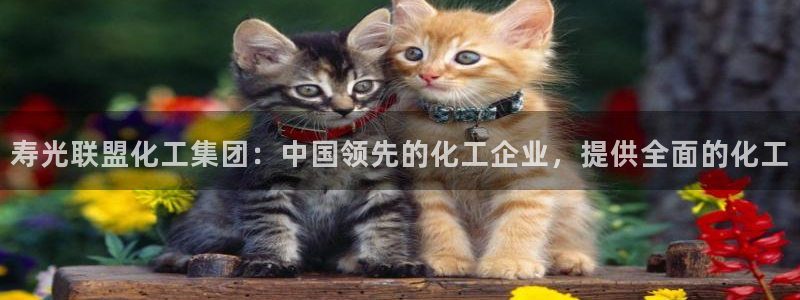 球盟会黑平台：寿光联盟化工集团：中国领先的化工企业，提供全面