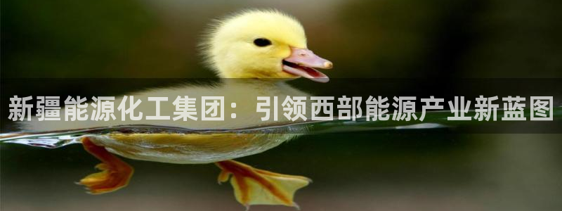 球盟会头号玩家