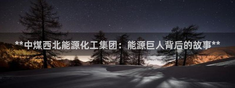 球盟会app网址多少