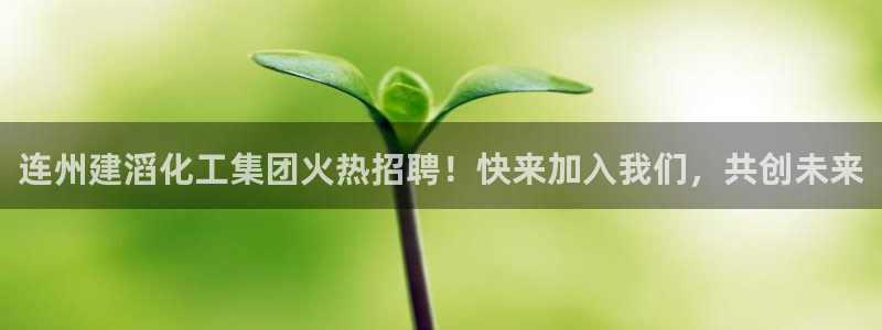 球盟会能提现吗