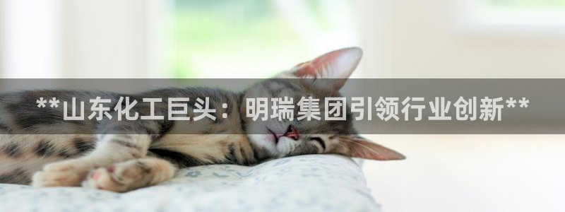球盟会可以提现么是真的吗：**山东化工巨头：明瑞集团引领行业