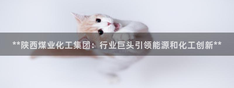 球盟会qm8597：**陕西煤业化工集团：行业巨头引领能源和