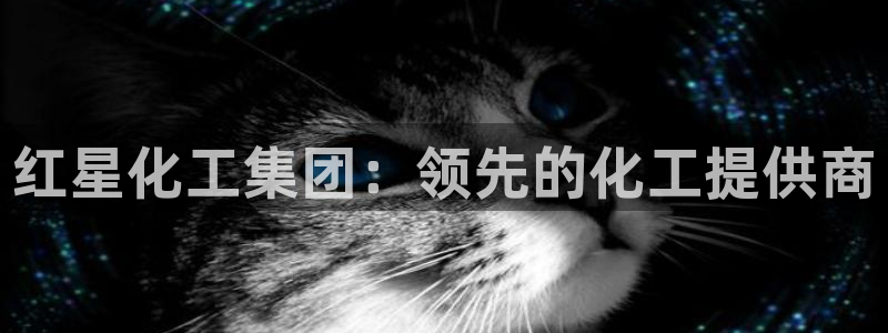 球盟会进不去：红星化工集团：领先的化工提供商