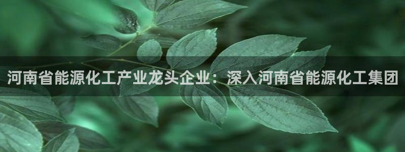 球盟会福利码2023最简单三个步骤：河南省能源化工产业龙头企