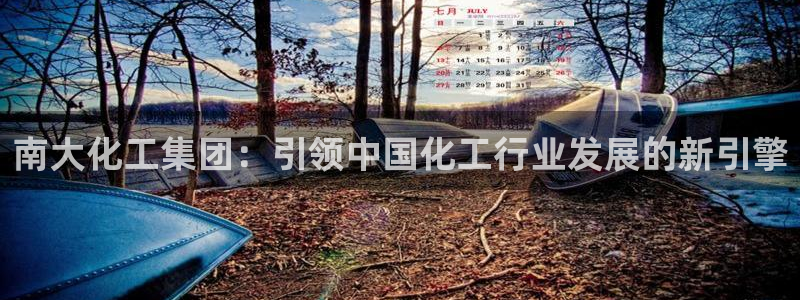球盟会官方网站入口