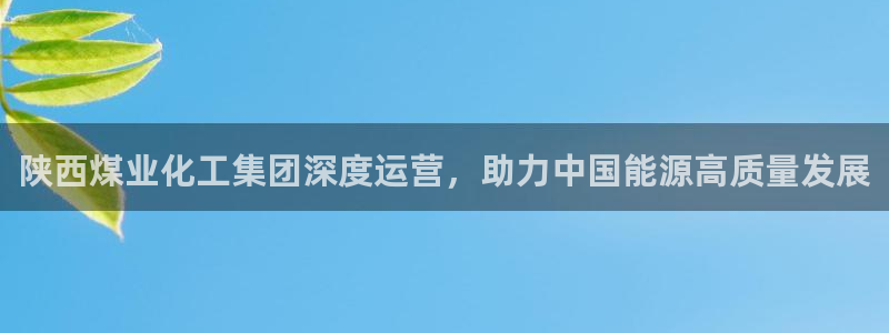 球盟会有没有黑单的人：陕西煤业化工集团深度运营，助力中国能源
