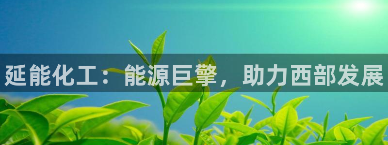 球盟会app手机登录：延能化工：能源巨擎，助力西部发展